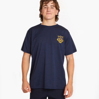Remeras interhouses 